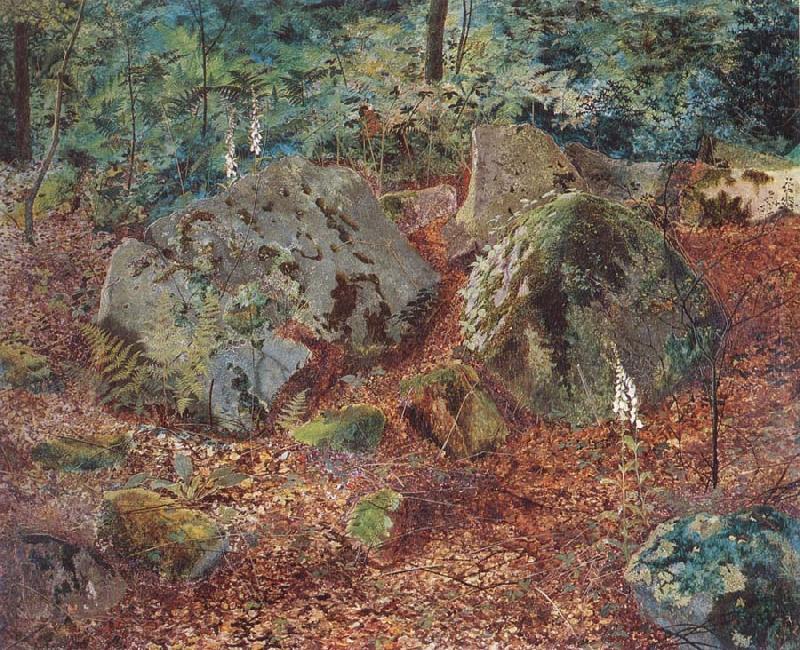 A Mossy Glen, Atkinson Grimshaw